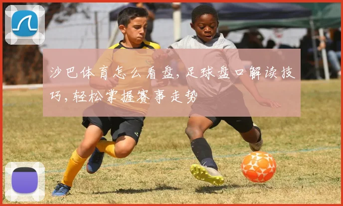 沙巴体育怎么看盘,足球盘口解读技巧,轻松掌握赛事走势