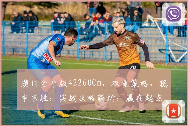 澳门金牛版42260Cm，双重策略，稳中求胜，实战攻略解析，赢在起点，一触即发